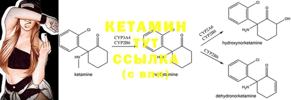 прущие крисы Белокуриха