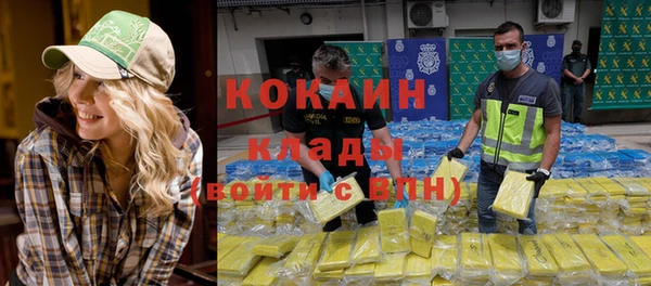 прущие крисы Белокуриха