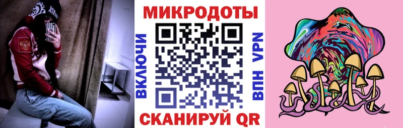дарнет шоп  Рудня  Псилоцибиновые грибы мицелий 